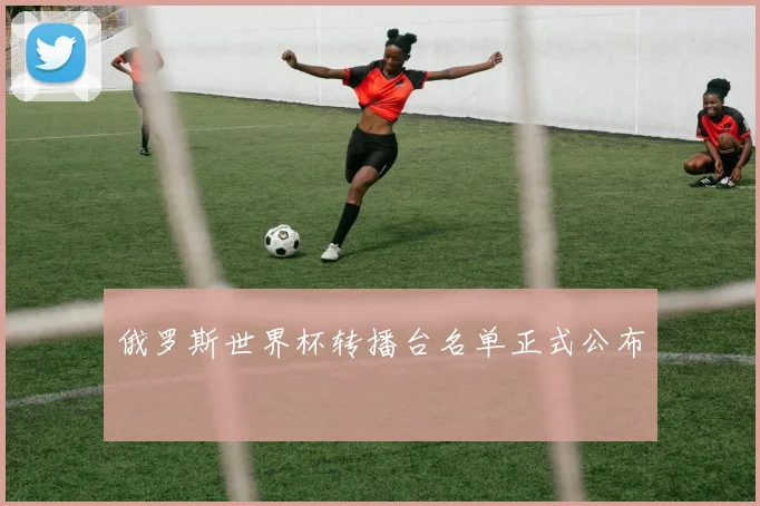 俄罗斯世界杯转播台名单正式公布