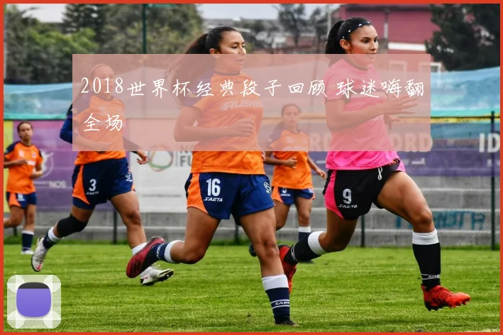 2018世界杯经典段子回顾 球迷嗨翻全场