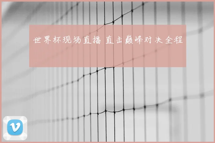 世界杯现场直播 直击巅峰对决全程