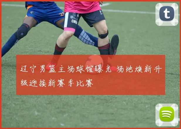 辽宁男篮主场球馆曝光 场地焕新升级迎接新赛季比赛