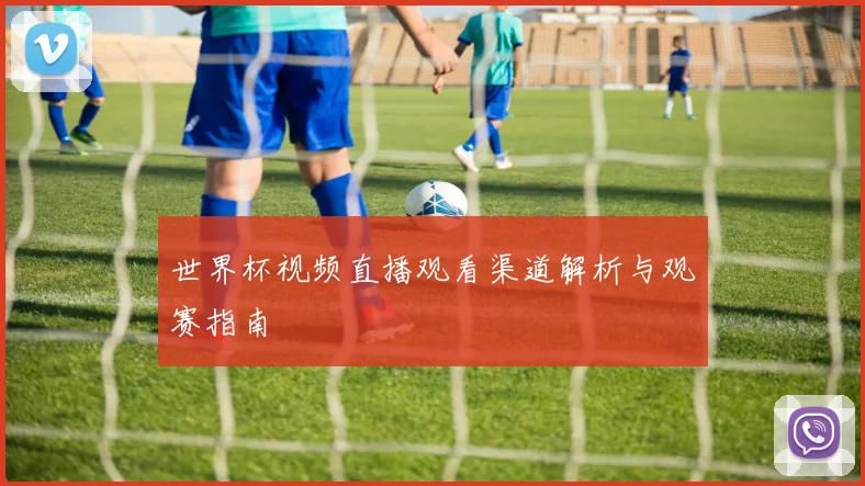 世界杯视频直播观看渠道解析与观赛指南